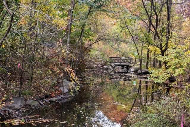 margherita ragg feet 4