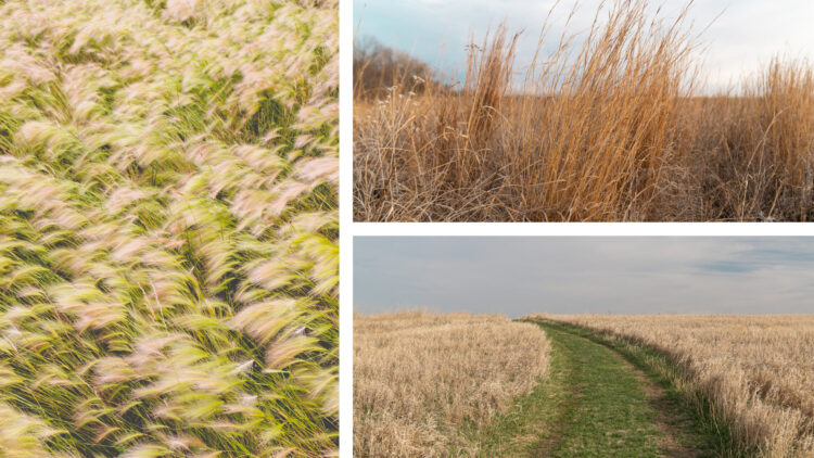 mari sandoz feet 5 scaled