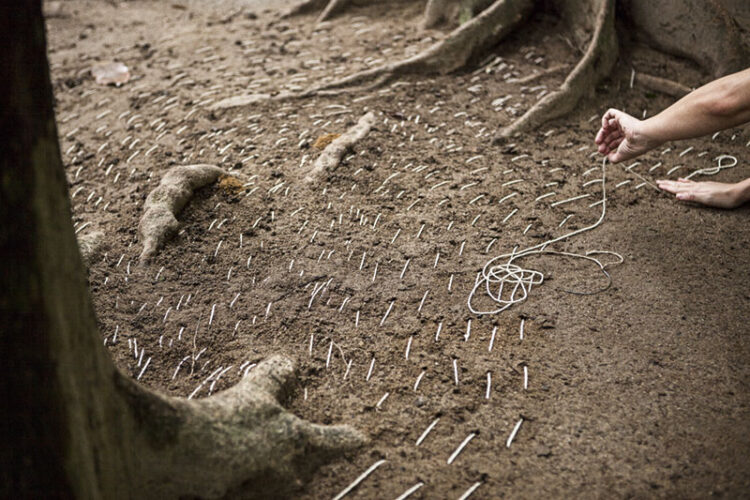 maria alice melo feet 3