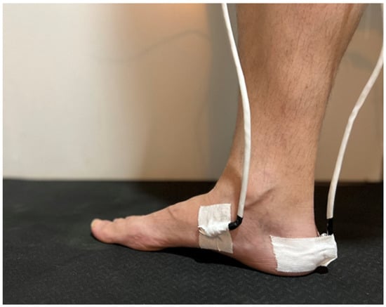 maria del rosario gomez feet 2