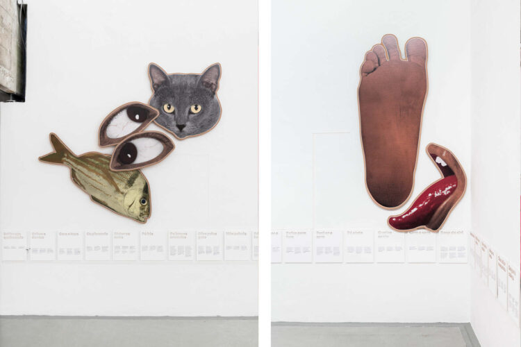 maria eduarda jeronimo de souza feet 3