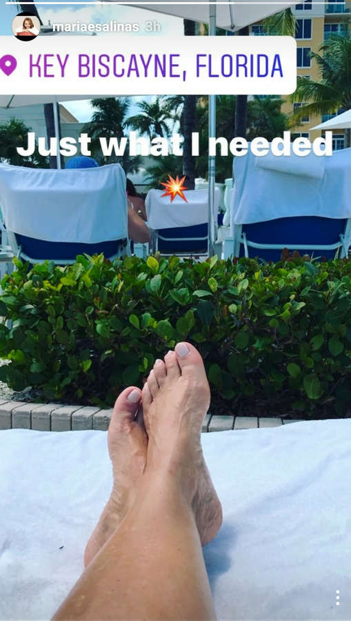 maria elena salinas feet 4