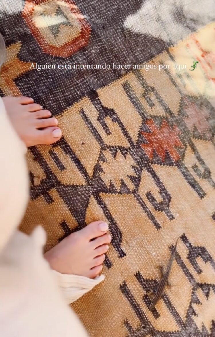 maria fernanda yepes feet