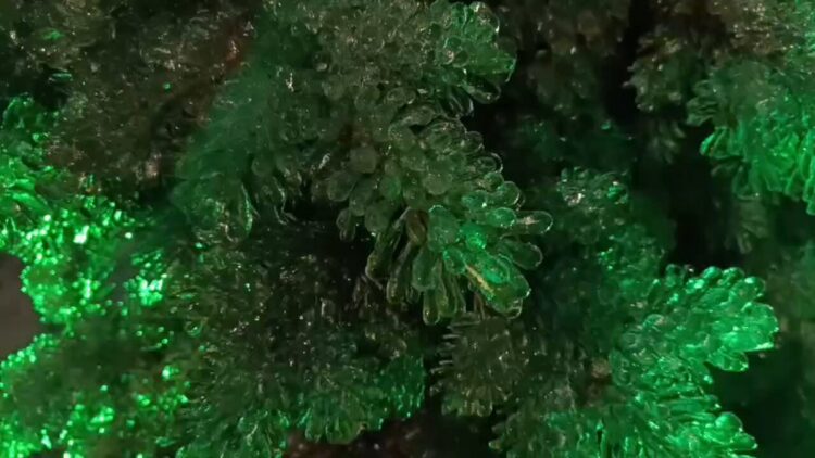 maria lebedeva feet 2