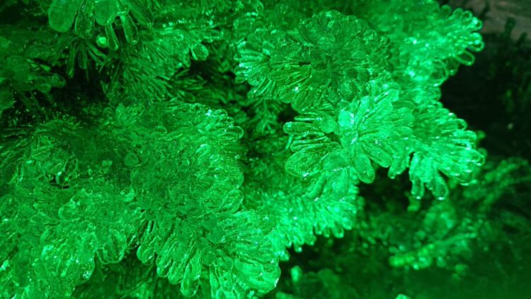 maria lebedeva feet 5