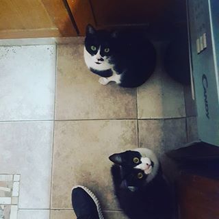 mariana ayala feet 5