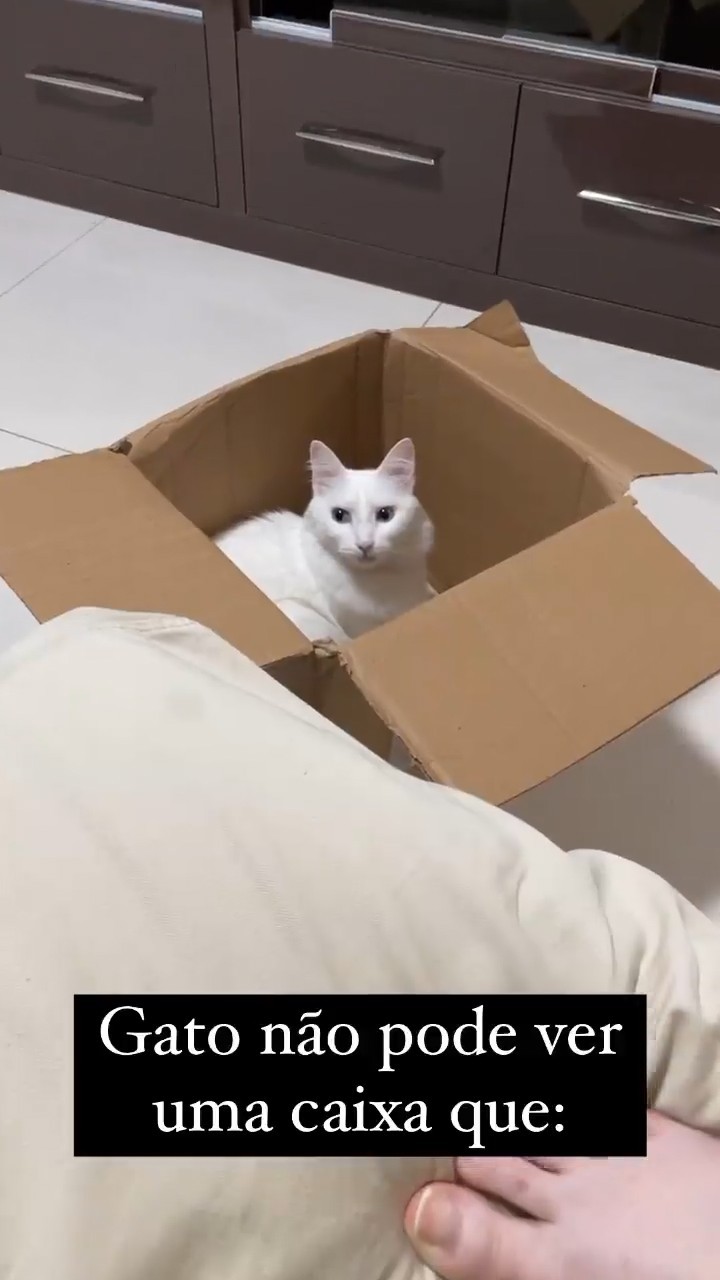 mariana delveccio feet 5