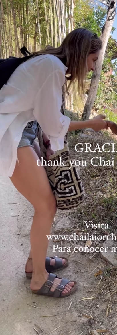 mariana gomez feet 3