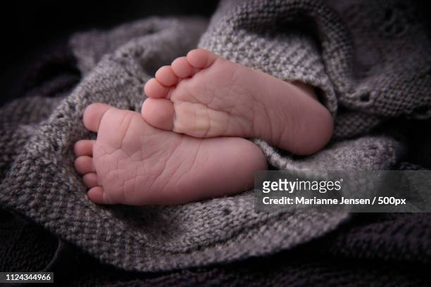 marianne bardgett feet 6