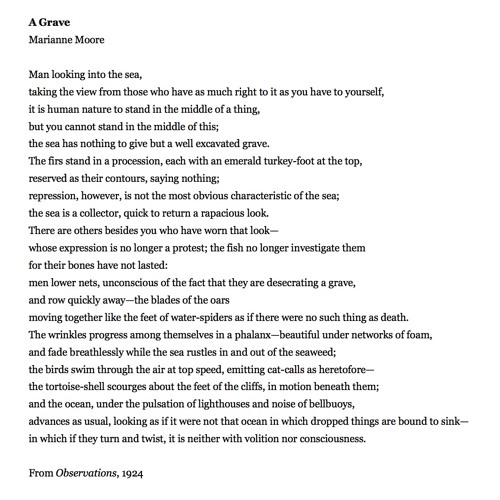 marianne moore feet 5