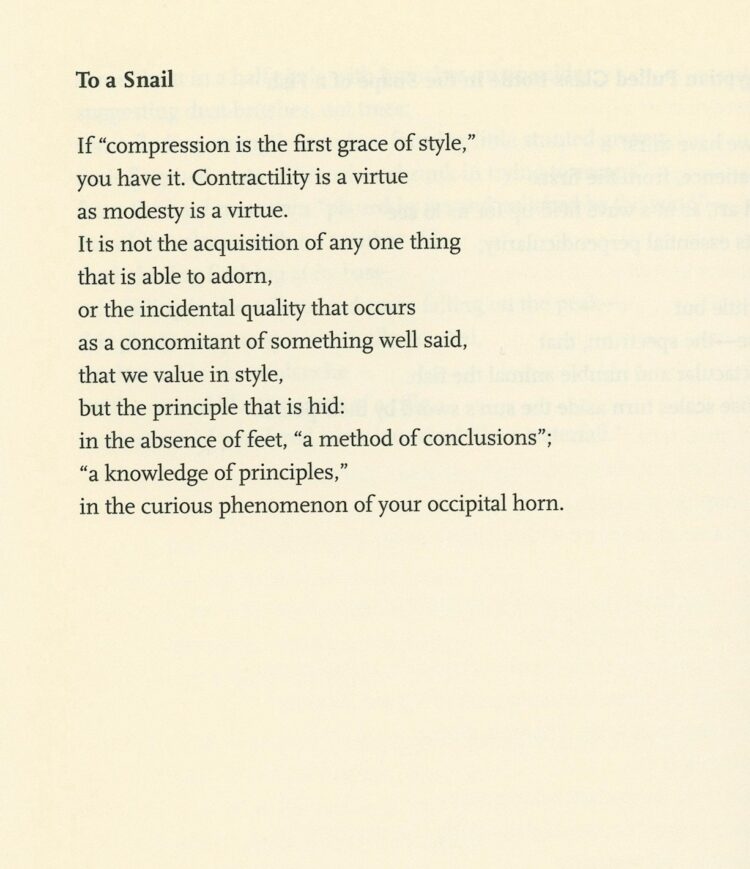 marianne moore feet 6