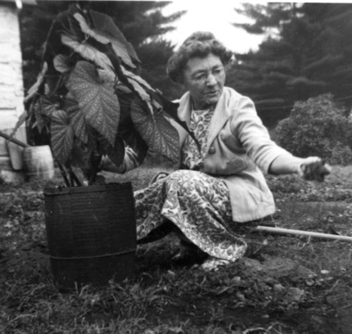 marie louise meilleur feet