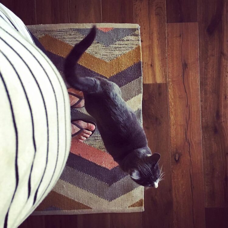 mariel zagunis feet 4