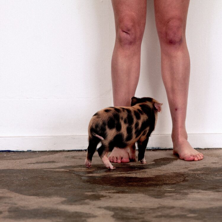 marika hackman feet 6