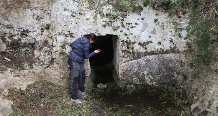 mariluz carbonell feet 6