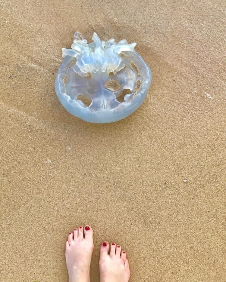 marine el himer feet