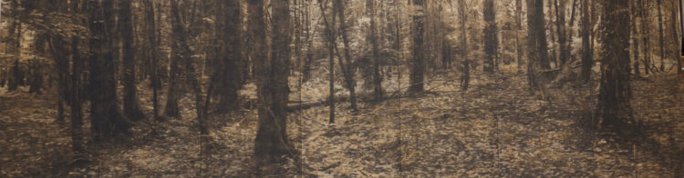 marine mametz feet 5