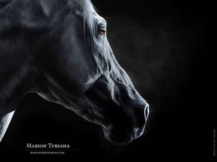 marion tubiana feet 4