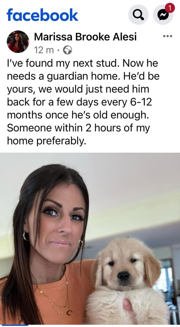 marissa alesi feet 3