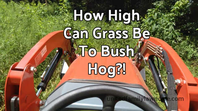 marlinde gras feet 3