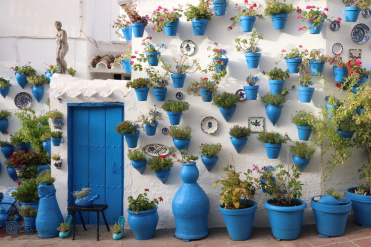 marta maria santos feet 4