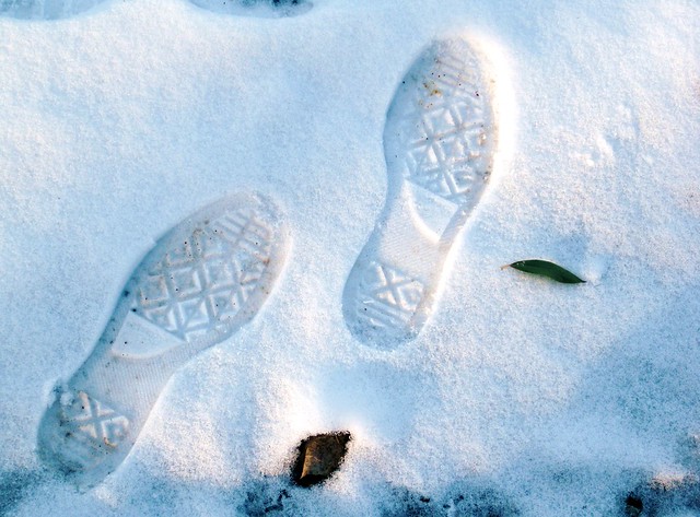 marta tarallo feet 2