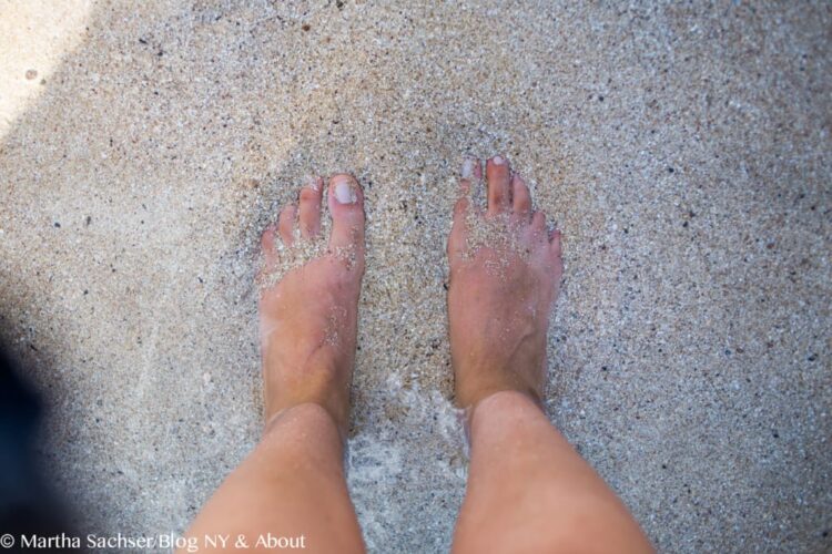 martha sachser feet 3