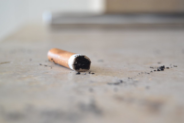 martina tinarelli feet 2