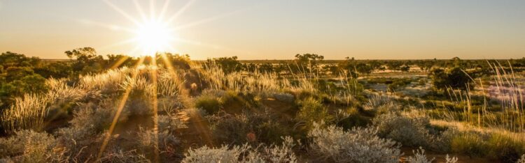 martu delger feet 1 scaled