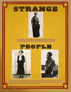 mary ann bevan feet 1