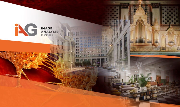 mary anna moritani feet 6