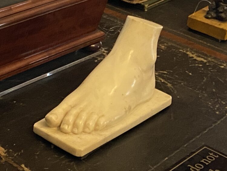 mary anne disraeli feet 1