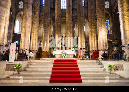 mary del mare feet 1