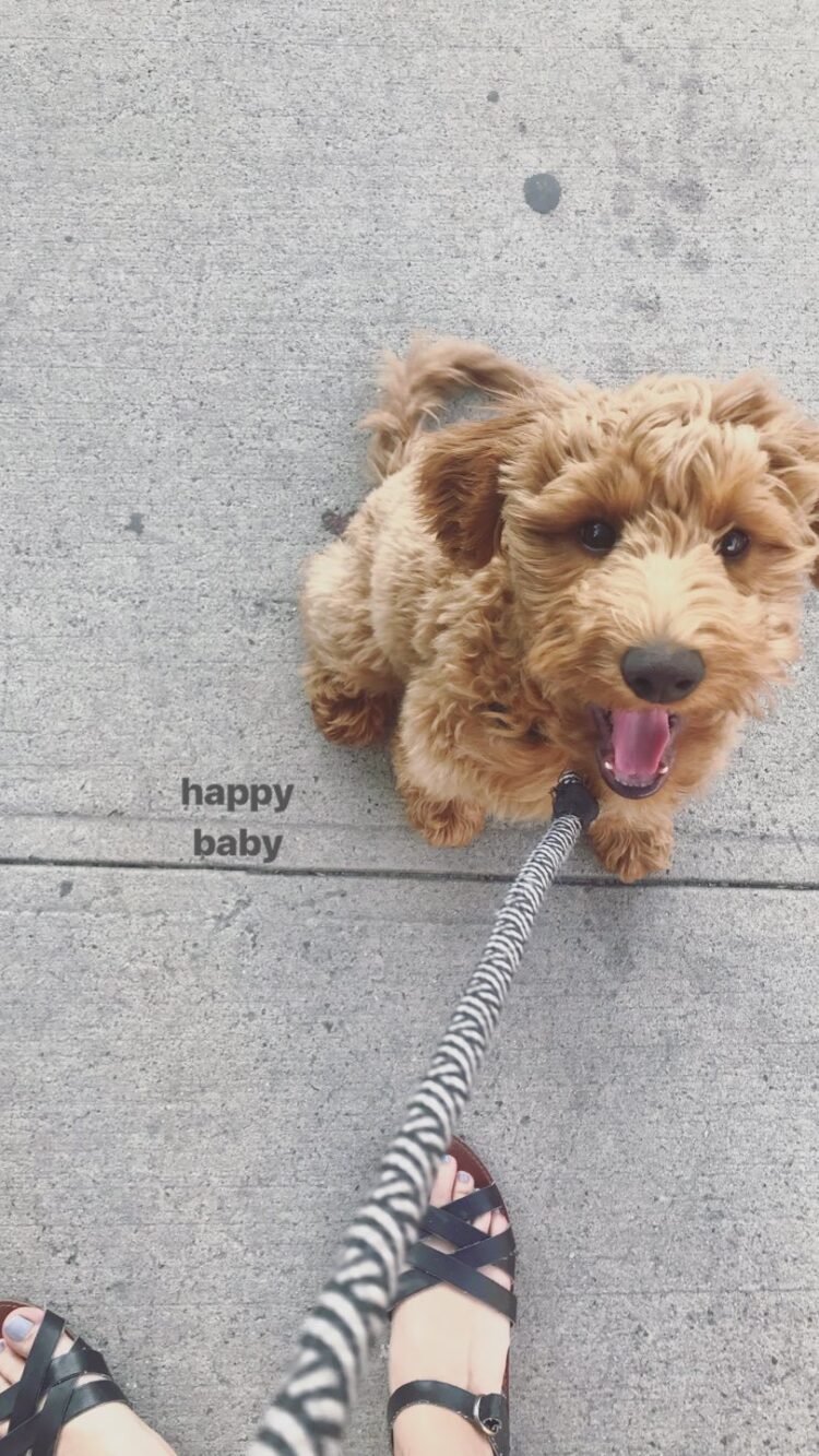 mary elizabeth kelly feet 4