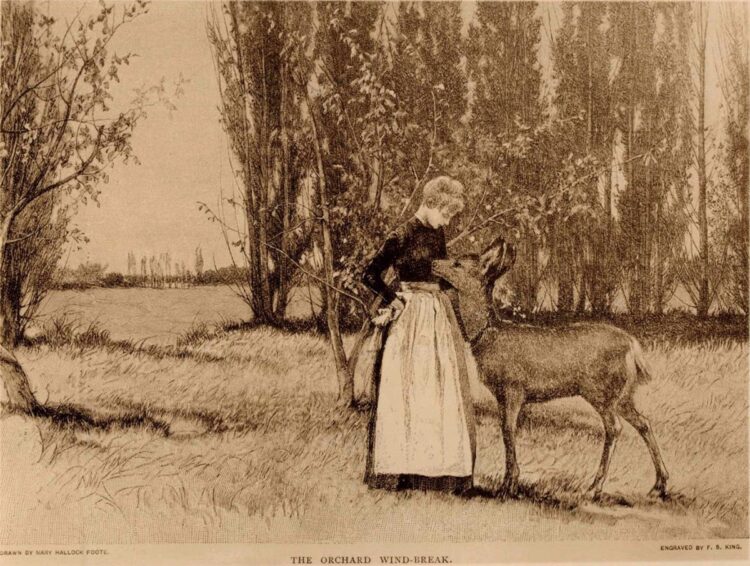 mary hallock foote feet 6