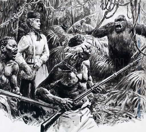 mary kingsley feet 6