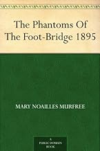 mary noailles murfree feet 4