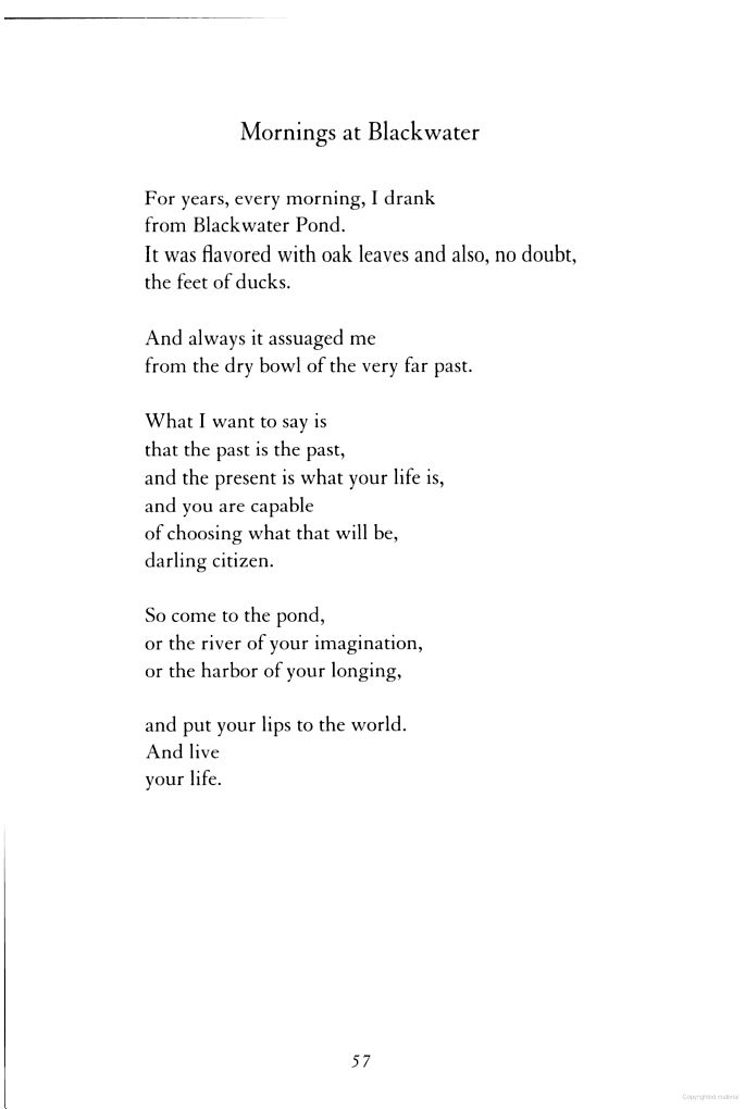 mary oliver feet 2