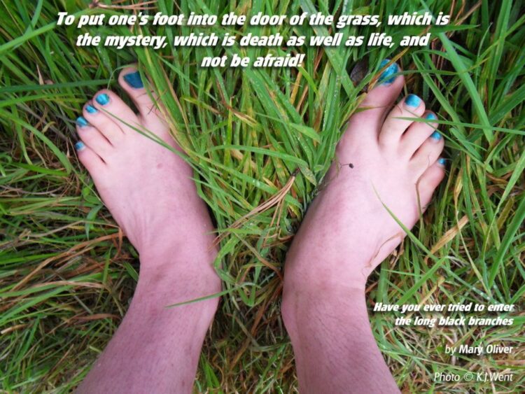 mary oliver feet