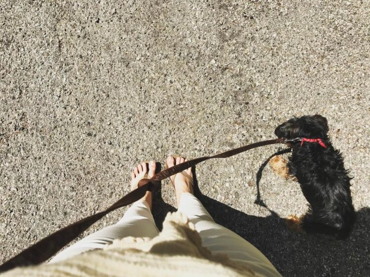 maryana da silva feet 4