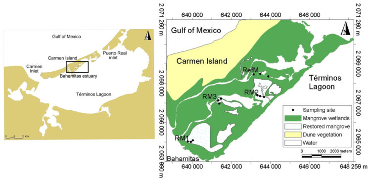 maryne ponsard feet 6