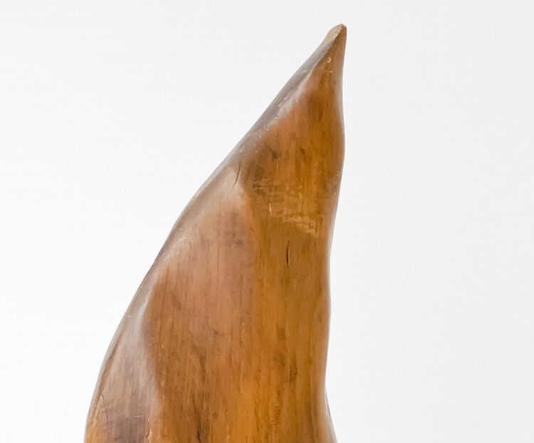 marysole worner baz feet 3