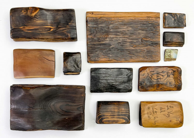 marysole worner baz feet 5