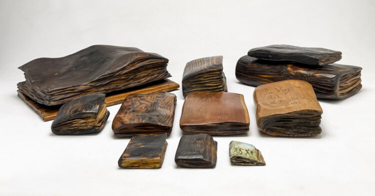 marysole worner baz feet 6