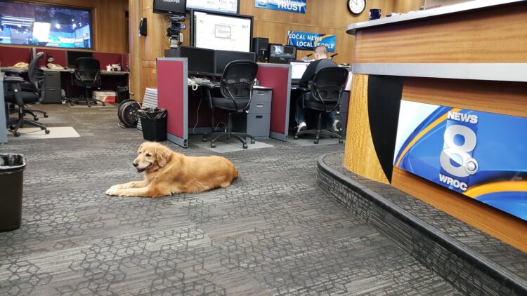 maureen mcguire feet 5