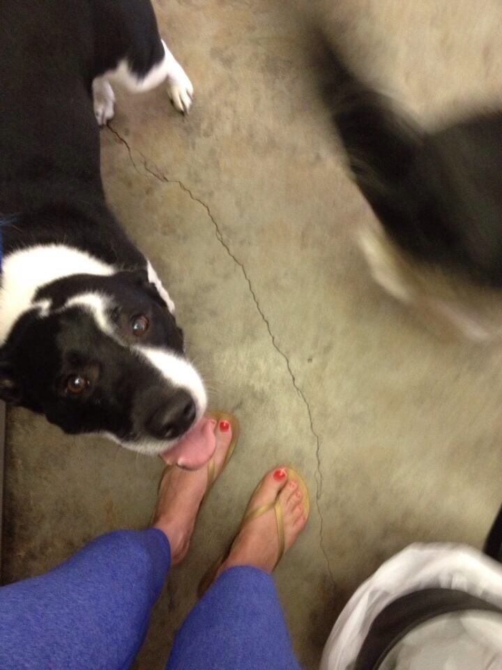 maureen oboyle feet 6