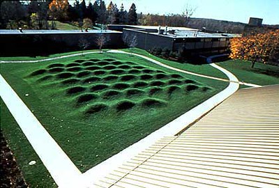 maya lin feet 5