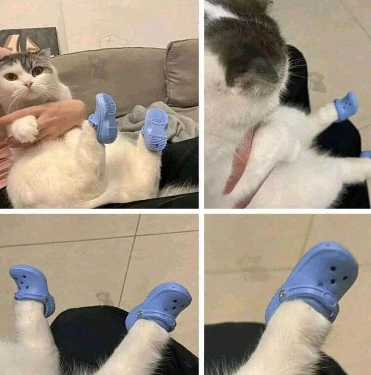 mayra belandria feet