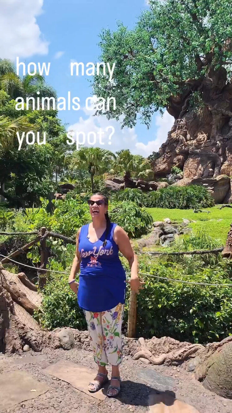 maysoon zayid feet 4