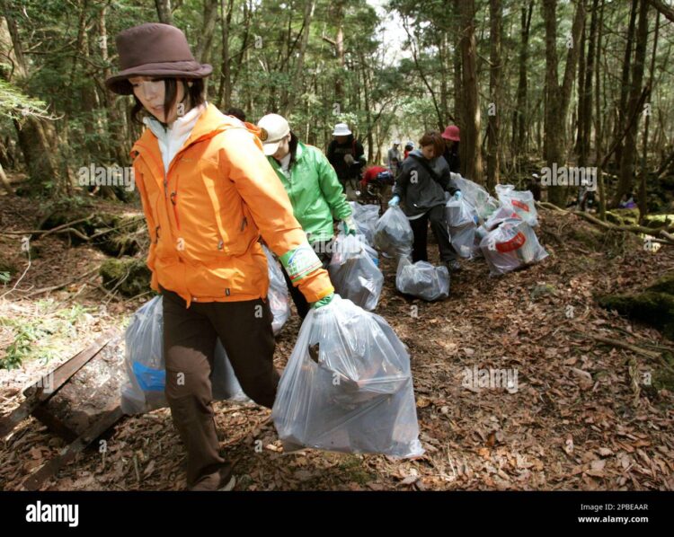 mayumi wakamura feet 3